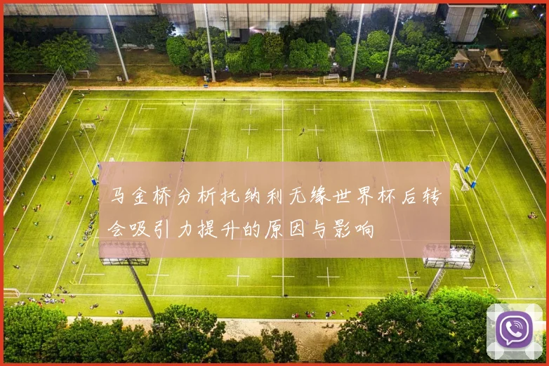 马金桥分析托纳利无缘世界杯后转会吸引力提升的原因与影响