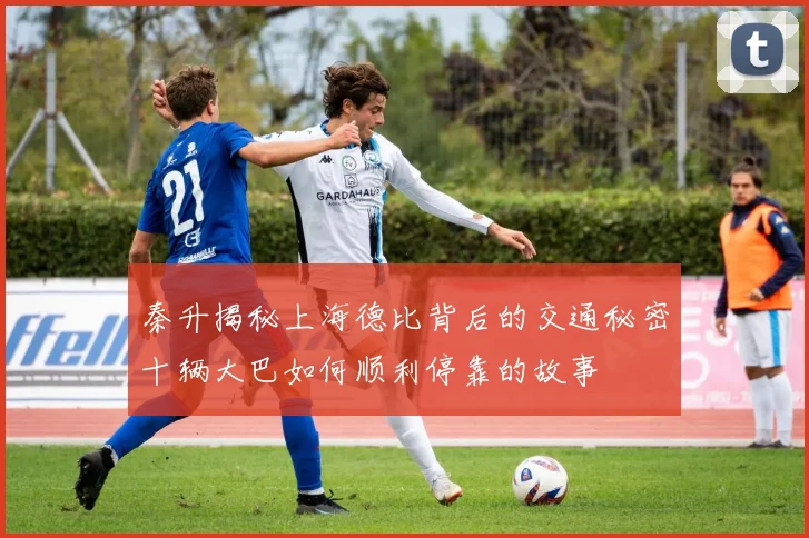 秦升揭秘上海德比背后的交通秘密十辆大巴如何顺利停靠的故事